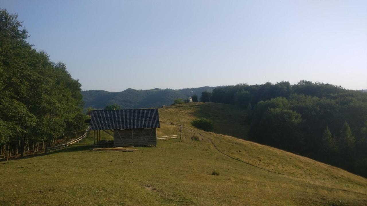 Садиба Федорчуків Гірська Хатина 1 Sheshory Exterior foto